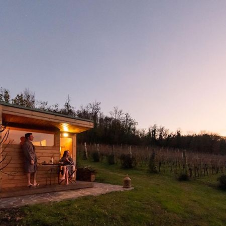 Agriturismo Terre Bianche Teolo Екстер'єр фото