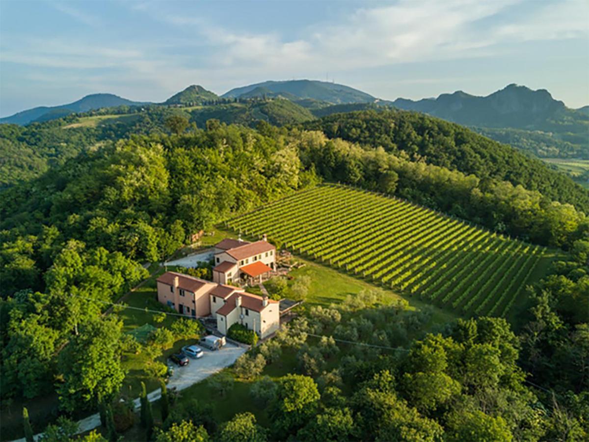 Agriturismo Terre Bianche Teolo Екстер'єр фото