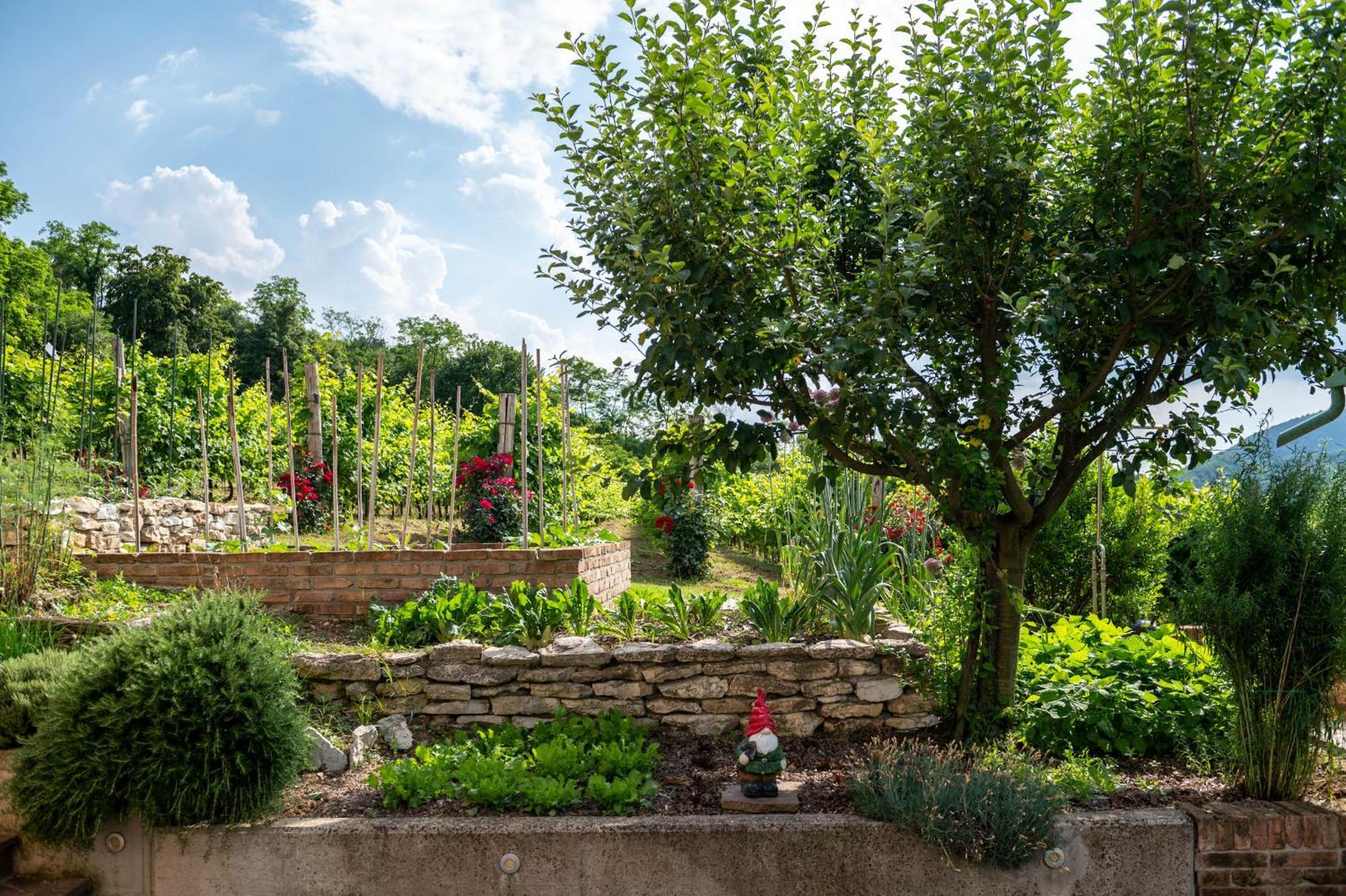 Agriturismo Terre Bianche Teolo Екстер'єр фото