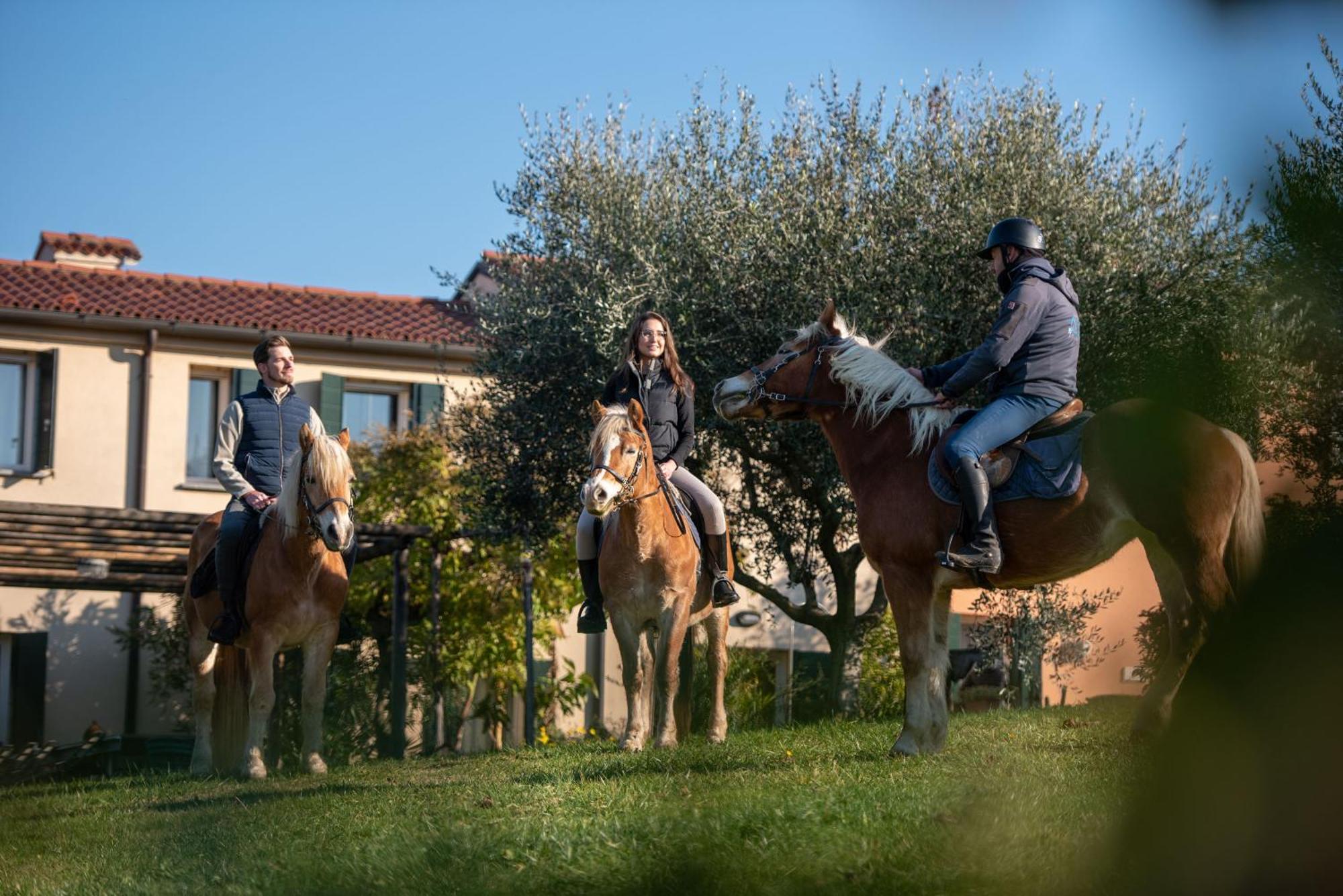 Agriturismo Terre Bianche Teolo Екстер'єр фото