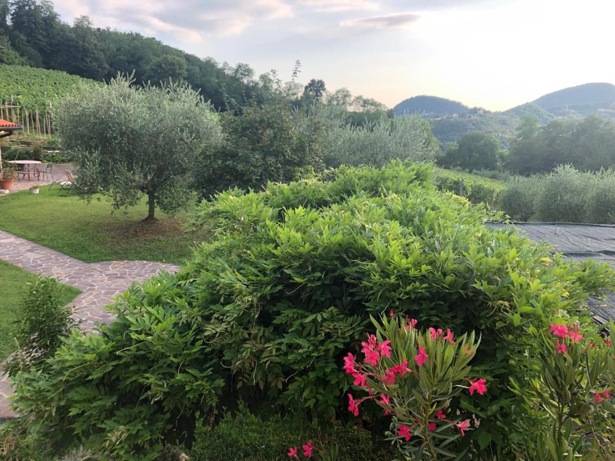 Agriturismo Terre Bianche Teolo Екстер'єр фото